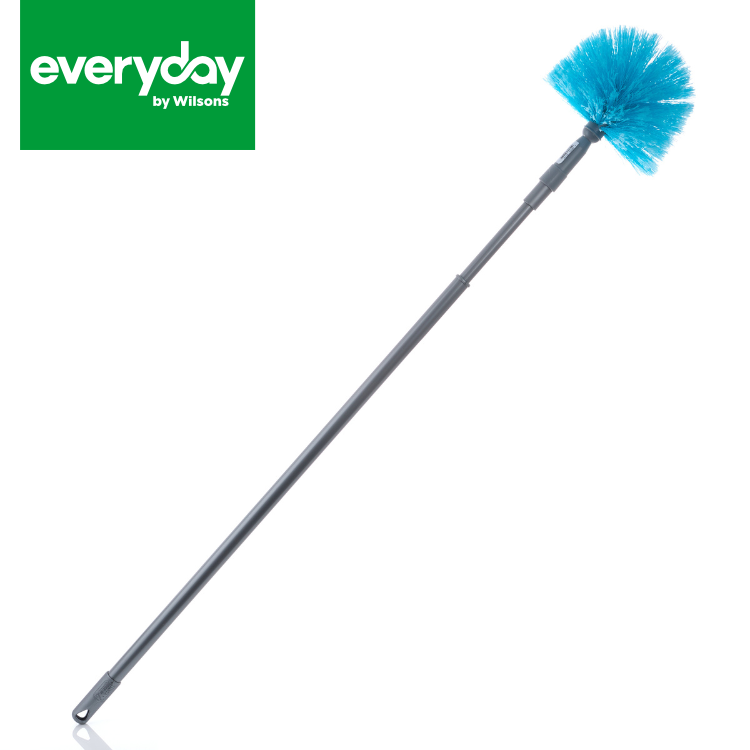 Everyday by Wilsons Cobweb Brush & Handle