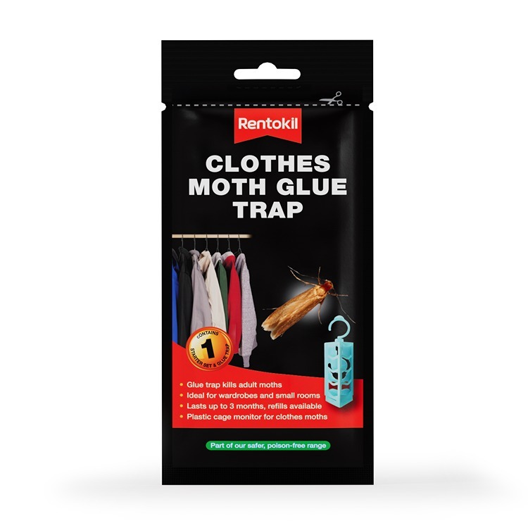 Rentokil Clothes Moth Glue Trap