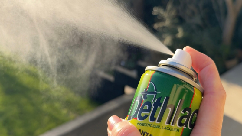 Why is Dethlac the must have product to have stocked ready for ant season?